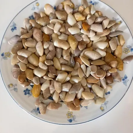 Casa Vicentina ホテル